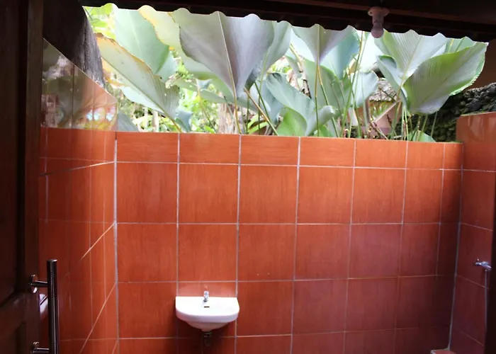 Tepi Sungai Sidemen (Bali)