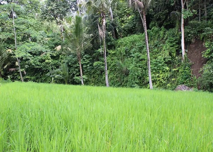 Tepi Sungai Maison d'hôtes Sidemen (Bali)
